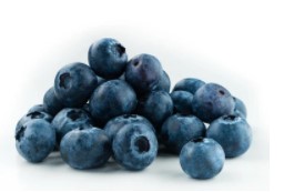 A March 4-Part Series